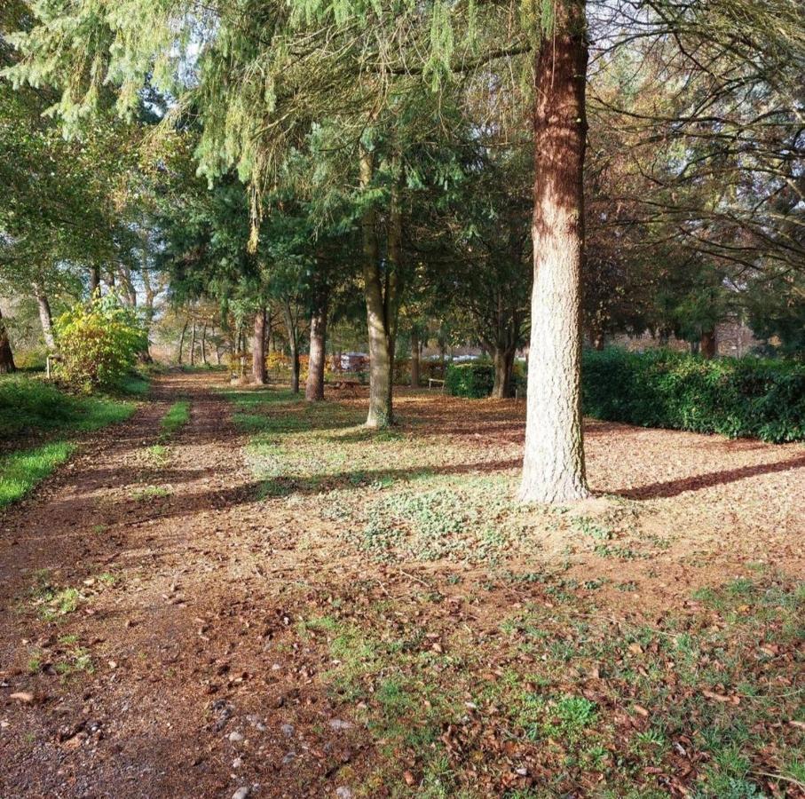 Chalet Beau Rivage Gunsbach エクステリア 写真